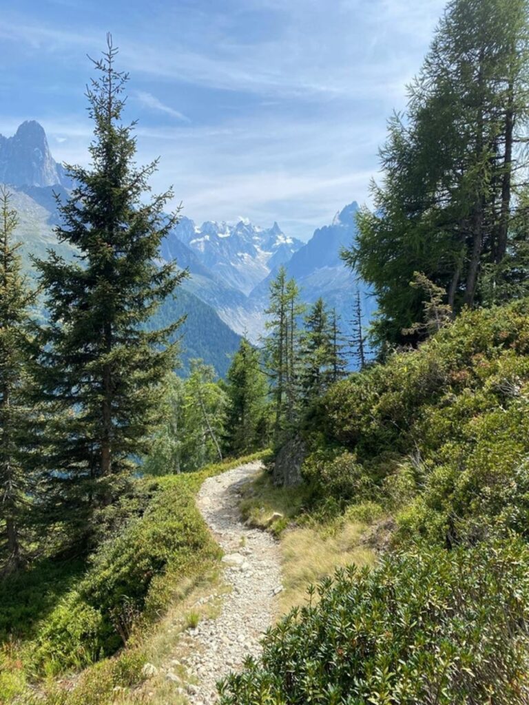 Sentier de randonnée en montagne, sapins et sommets enneigés en arrière-plan